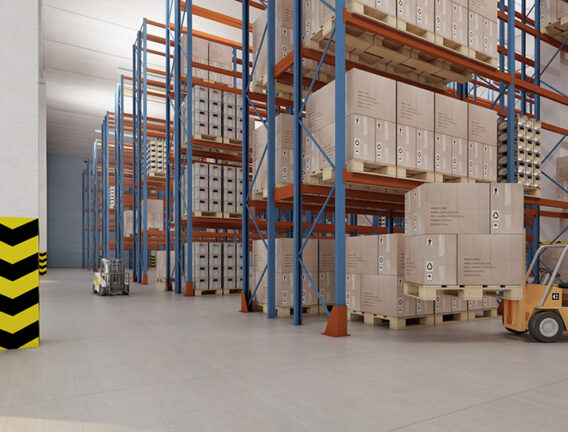 Master eCommerce Catalog Management With Our In-Depth Guide